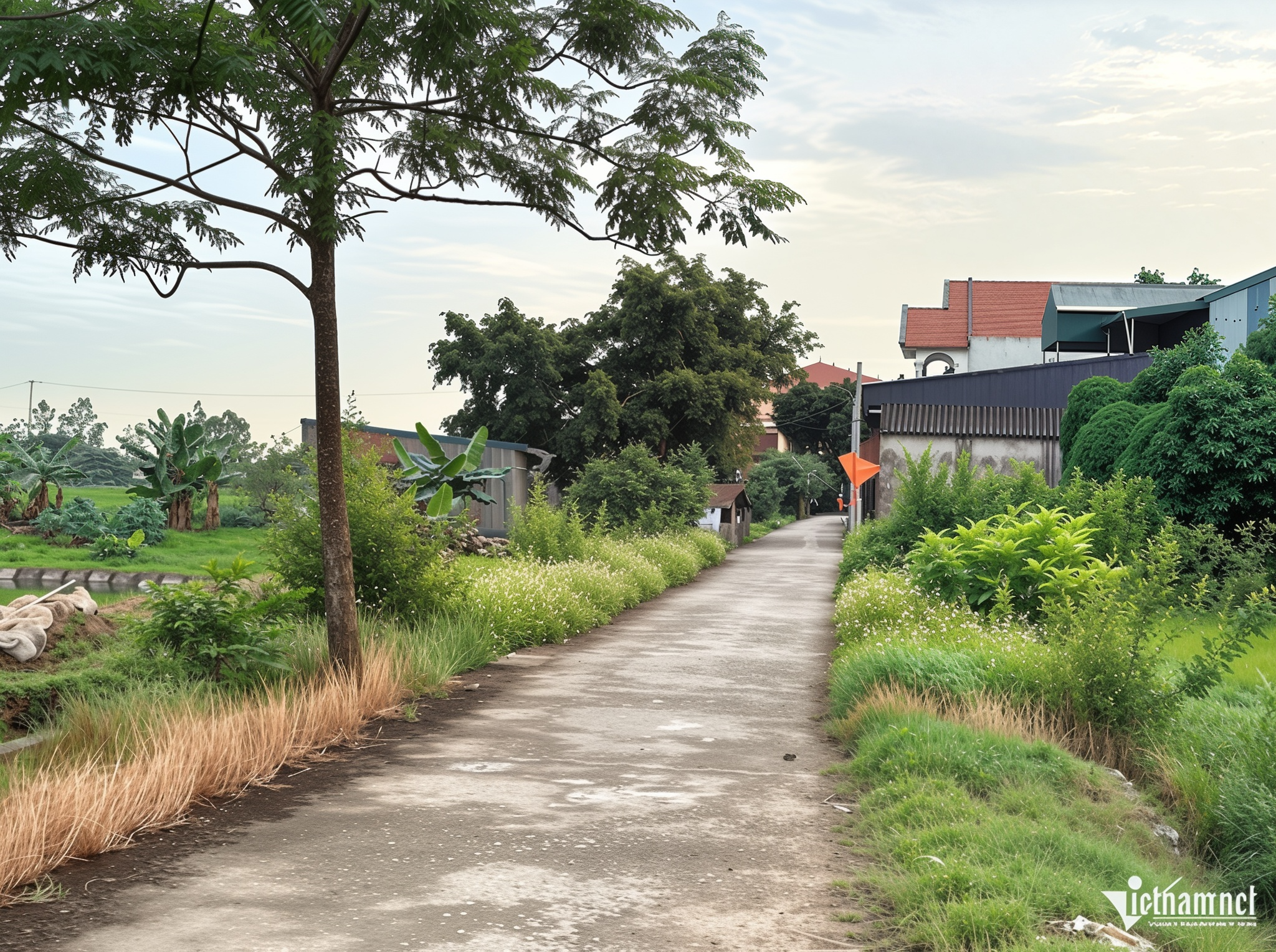 Xây nhà trên đất nông nghiệp, xin cấp sổ đỏ có phải nộp lại số lợi bất hợp pháp?